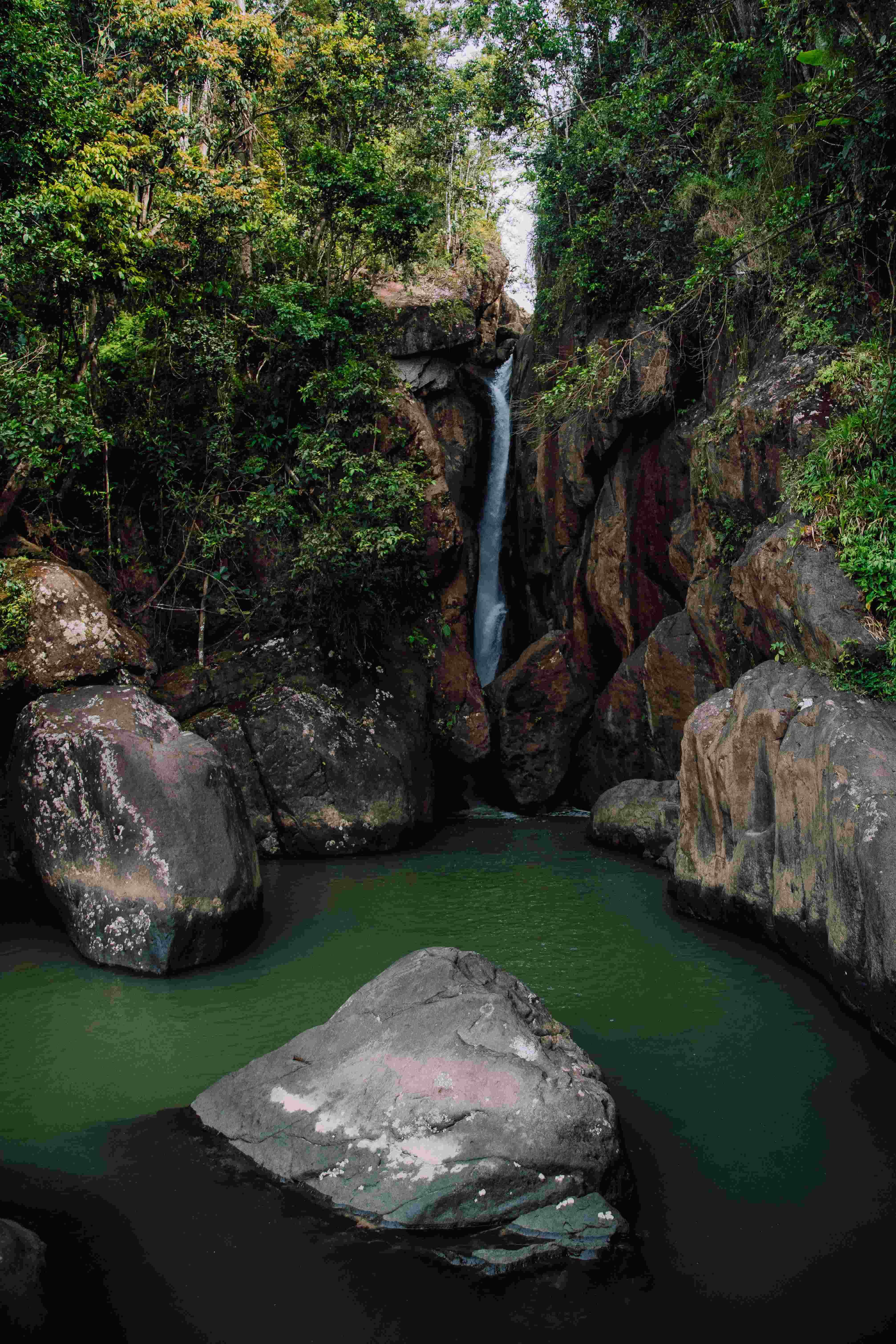 el yunque espiritu santo salto guzman compressed