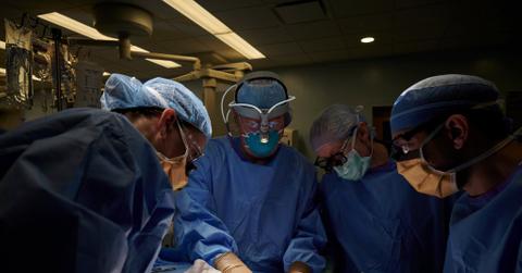 N.Y.U Surgeons Successfully Test Pig Kidney Transplant in Human Patient