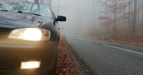 Milje Ivan // Shutterstock