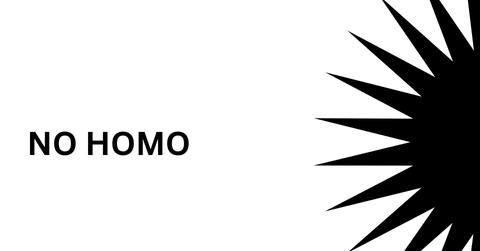 no homo