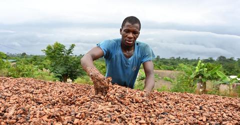 Why chocolate is ridiculously expensive right now