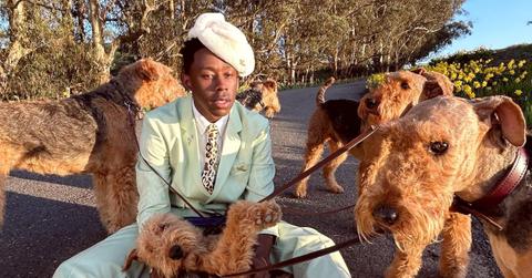 Tyler, the Creator in park with a pack of airedale terriers
