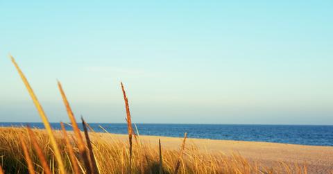 Tips to Select Cost Effective Hampton Vacation Rentals