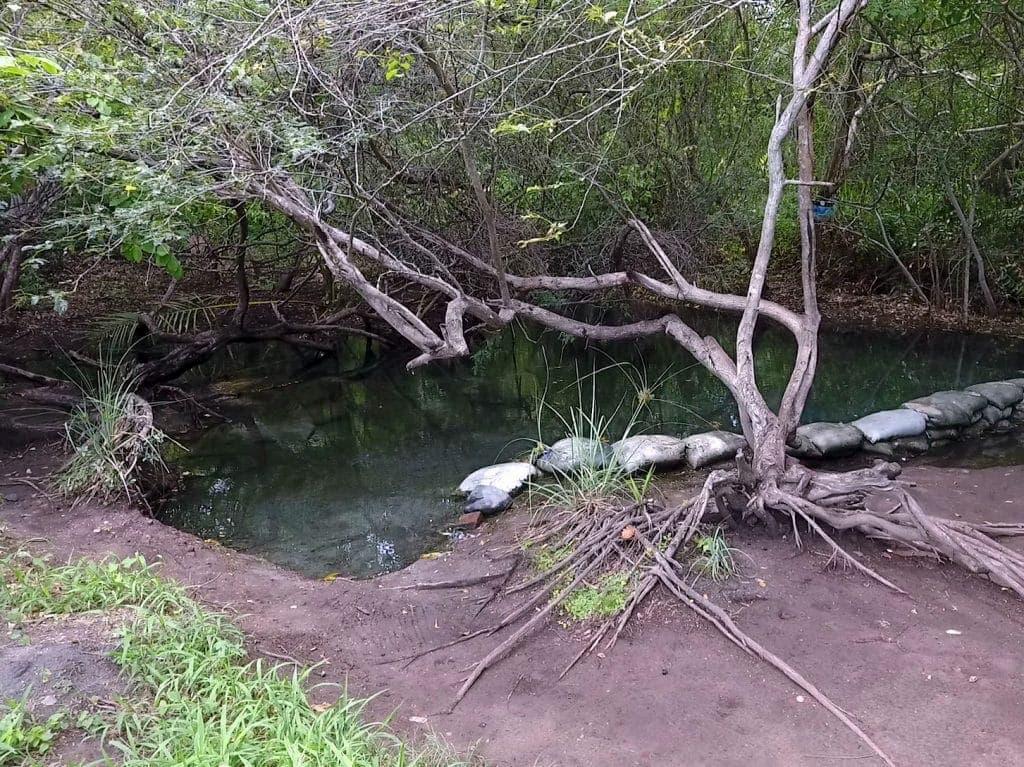 wp content/uploads///Medicinal Hot Springs