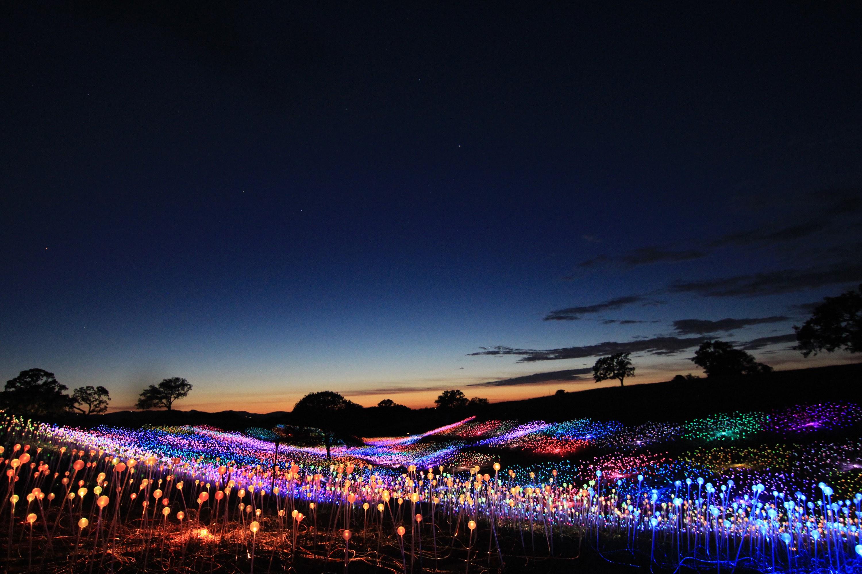 field of light at light at sensoriocredit sensorio copy compressed