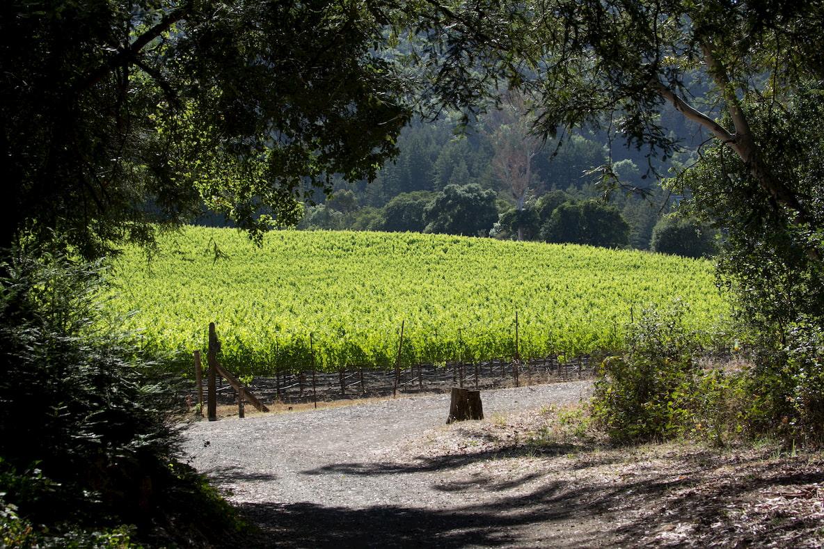 Just Add Water: Exploring California's Sonoma County