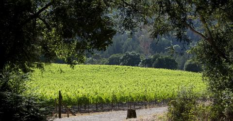 Just Add Water: Exploring California's Sonoma County