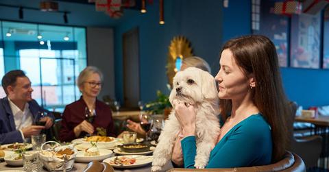 spot and tango pets christmas dinner