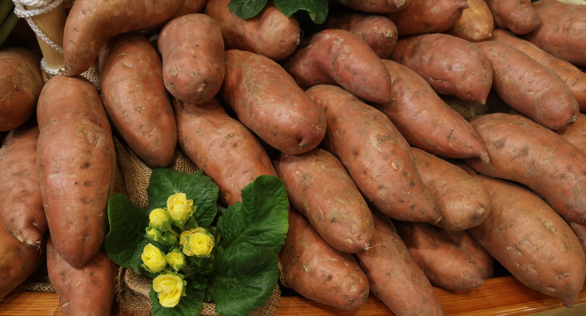 sweet potatoes also called yams lie on display at the green week