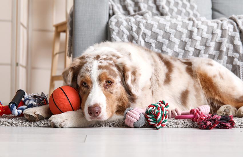 Pixel-Shot // Shutterstock