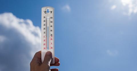 aleks333 // Shutterstock