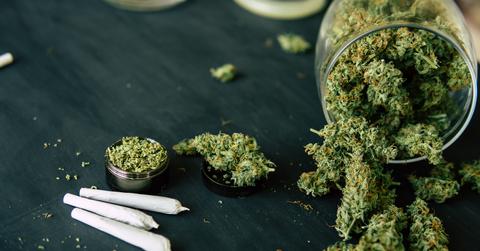 How to Get Started in the Cannabis Industry