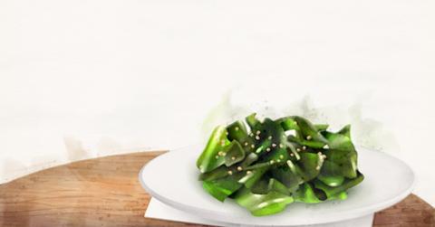 Kelp: The Beginners Guide