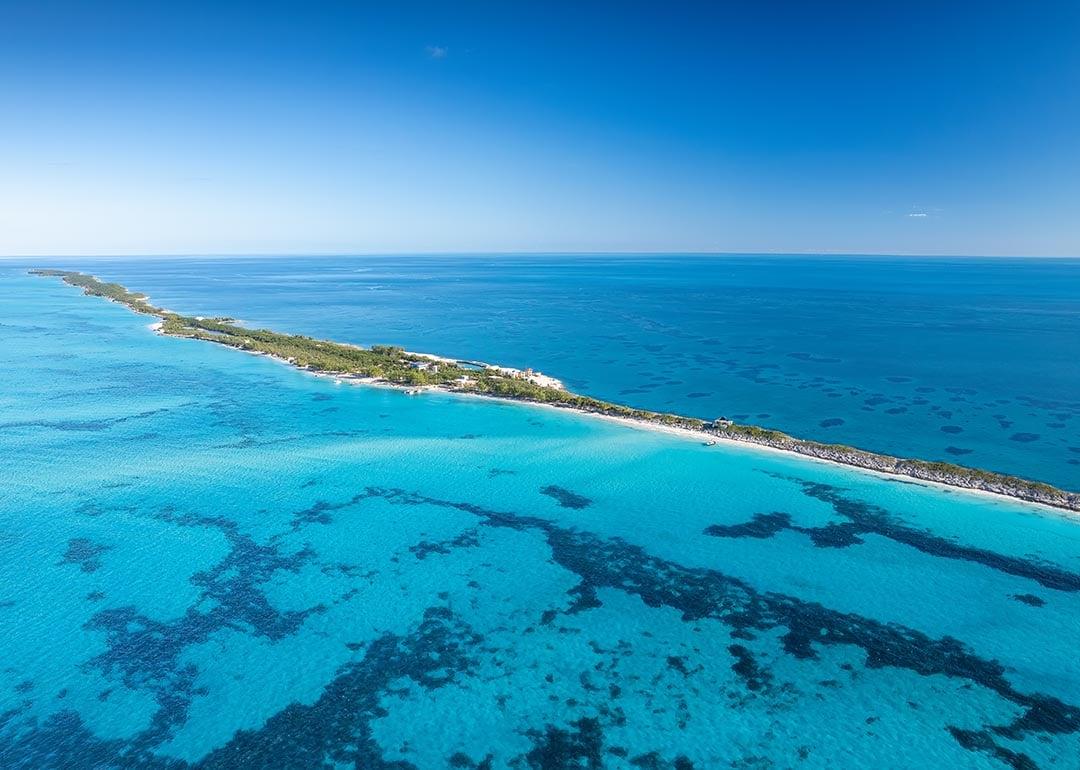 Inside the urgent effort to save endangered coral reefs