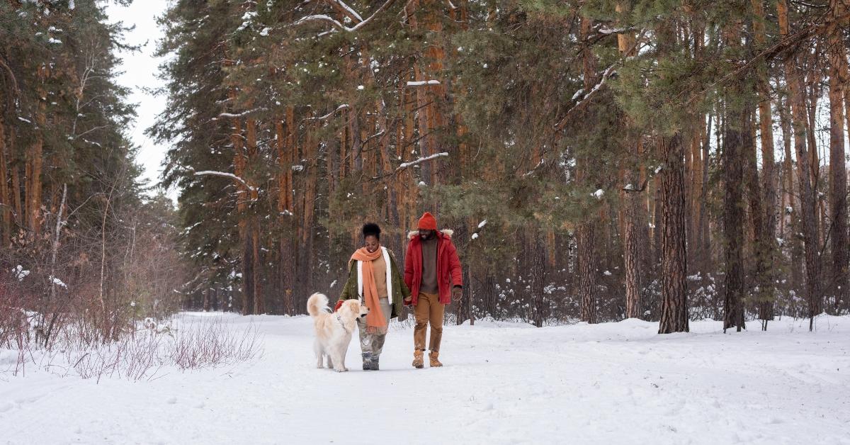 Couple wearing winter gear hike in the snow with their dog.