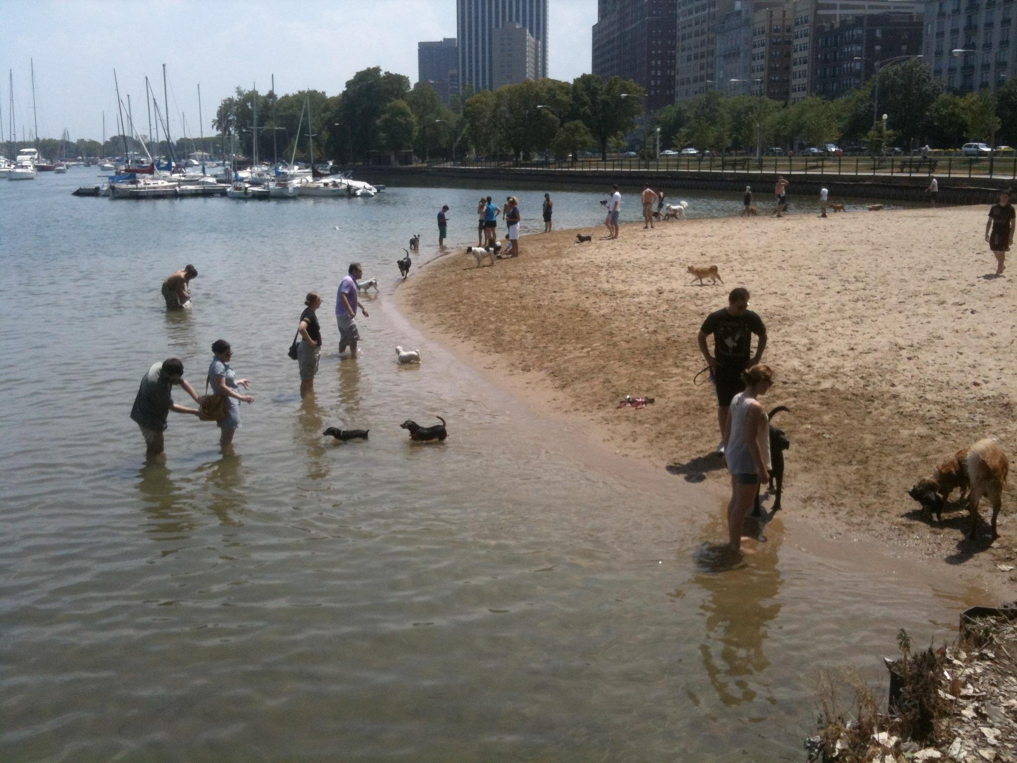 14 Best Chicago Beaches in 2023 (A Local's Ultimate Guide) - Travel Lemming