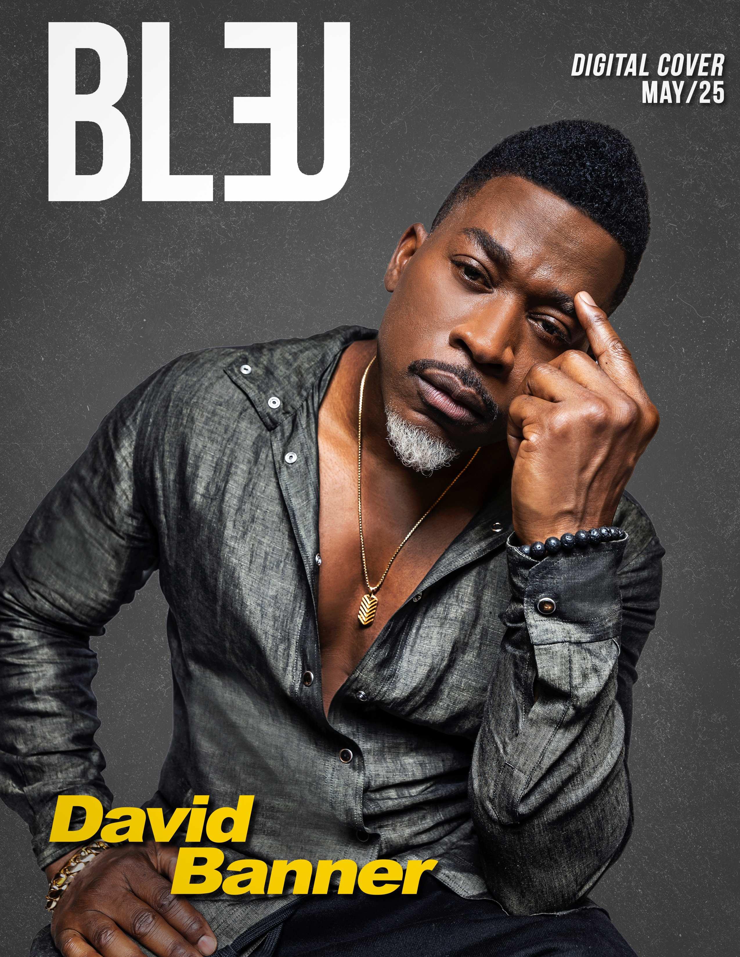 david banner cover compressed