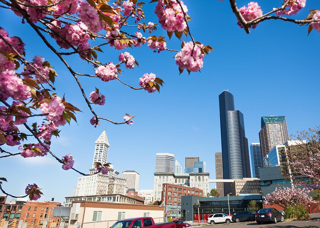 gyg seattle during spring