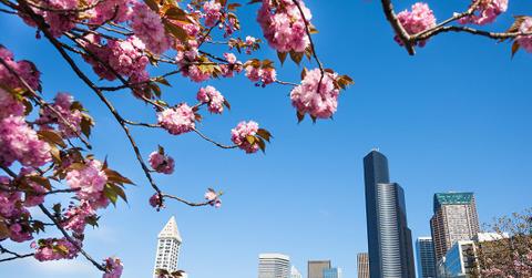 gyg seattle during spring