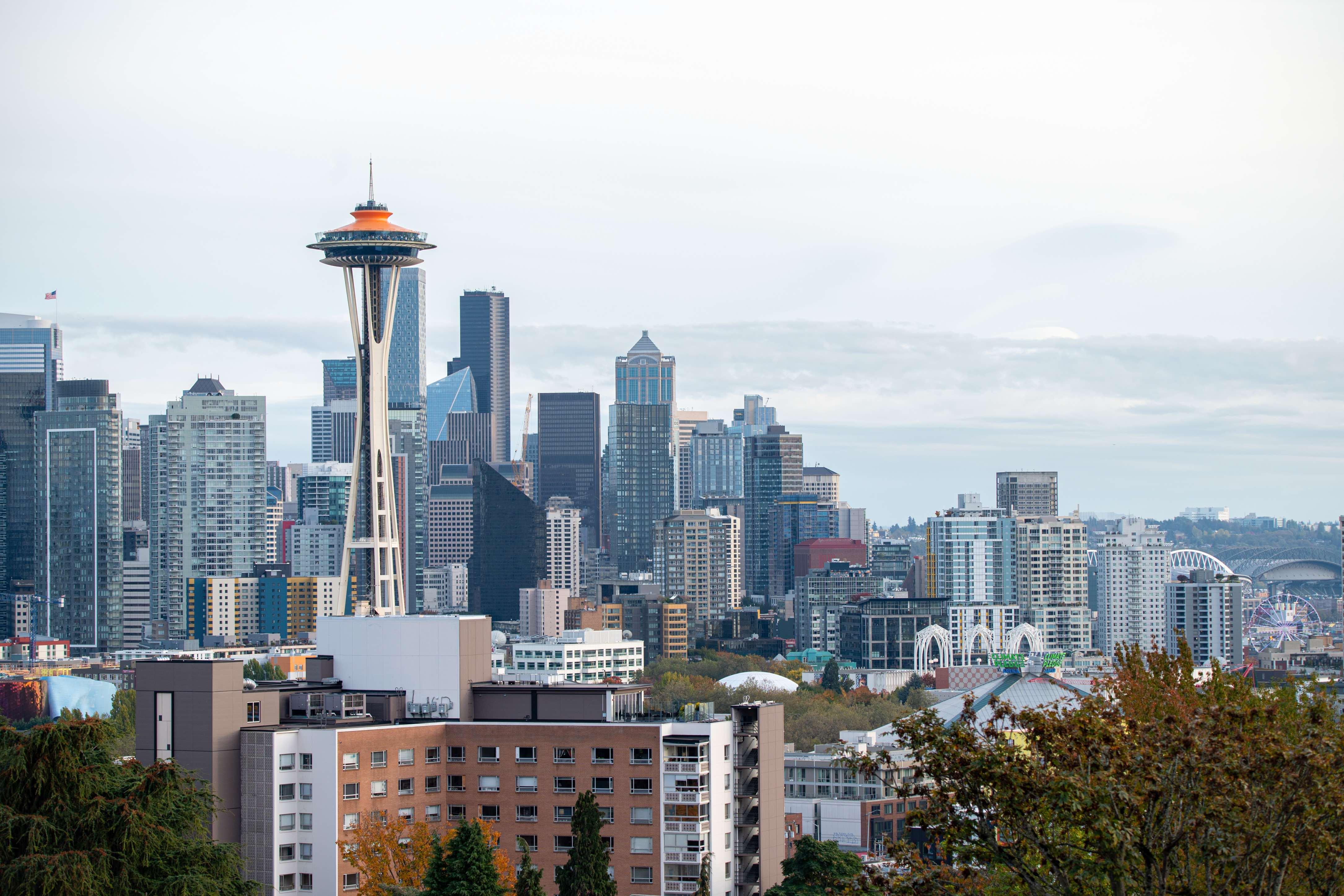 rachael jones mediaspace needlekerry park compressed