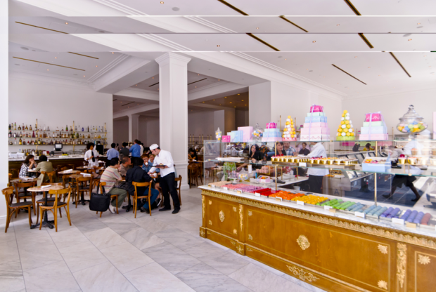 wp content/uploads///Bottega Louie e