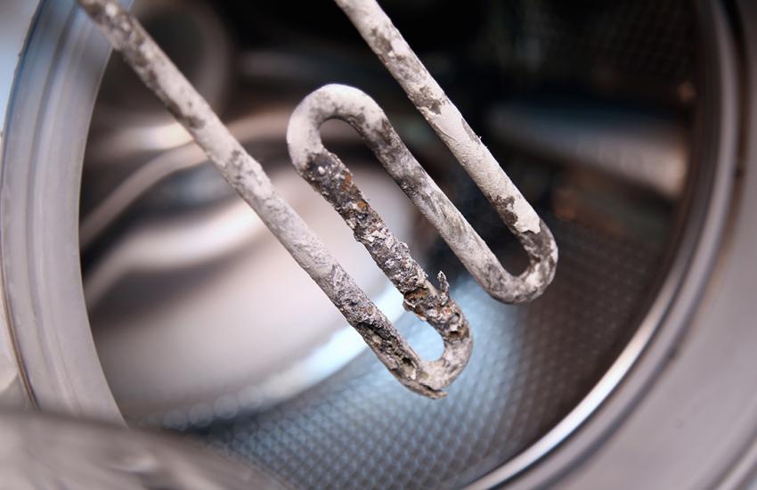 Vladimir Mucibabic // Shutterstock