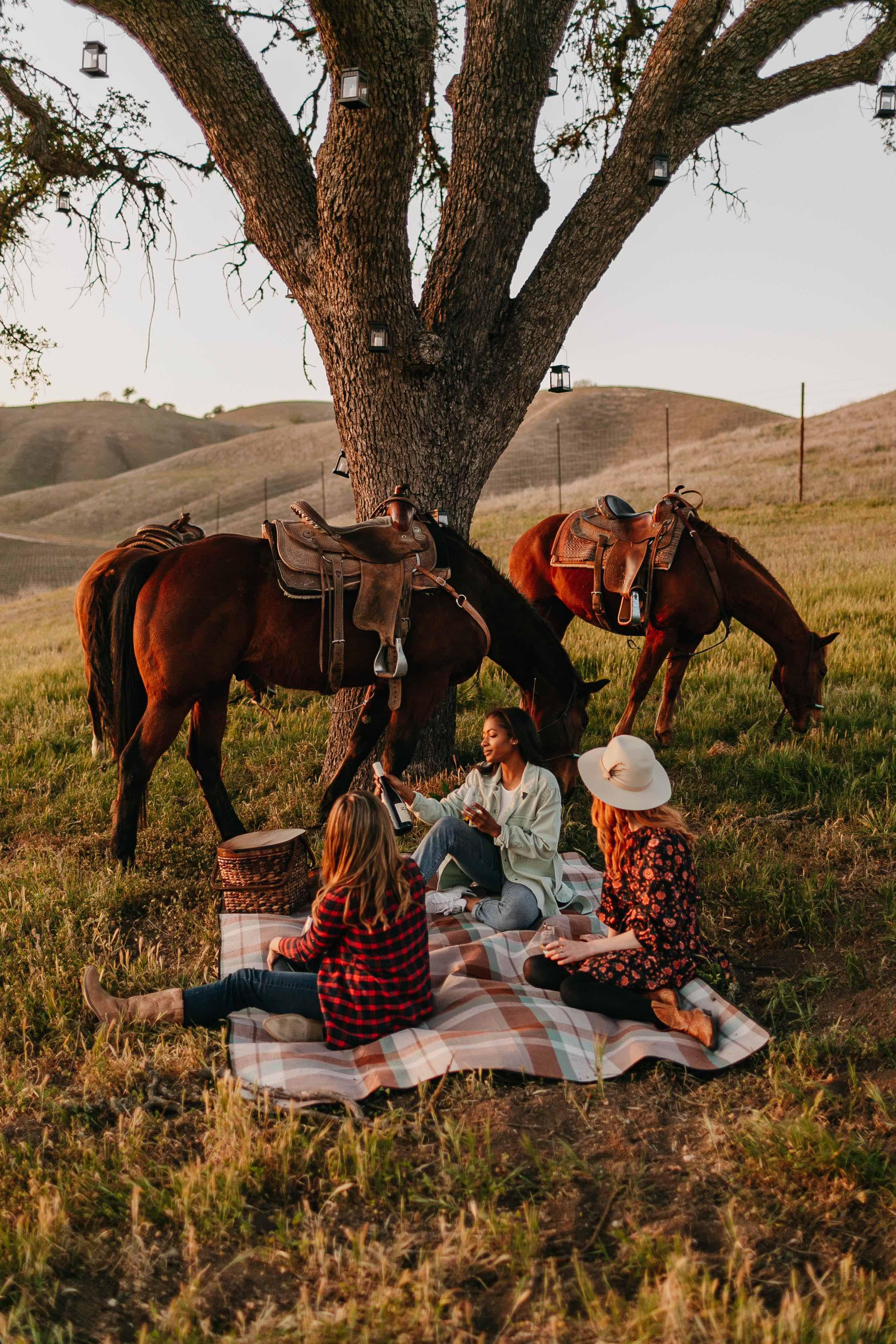 trail rides thru vinetyards  compressed