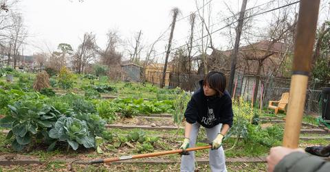 How urban farms can make cities more livable and help feed America